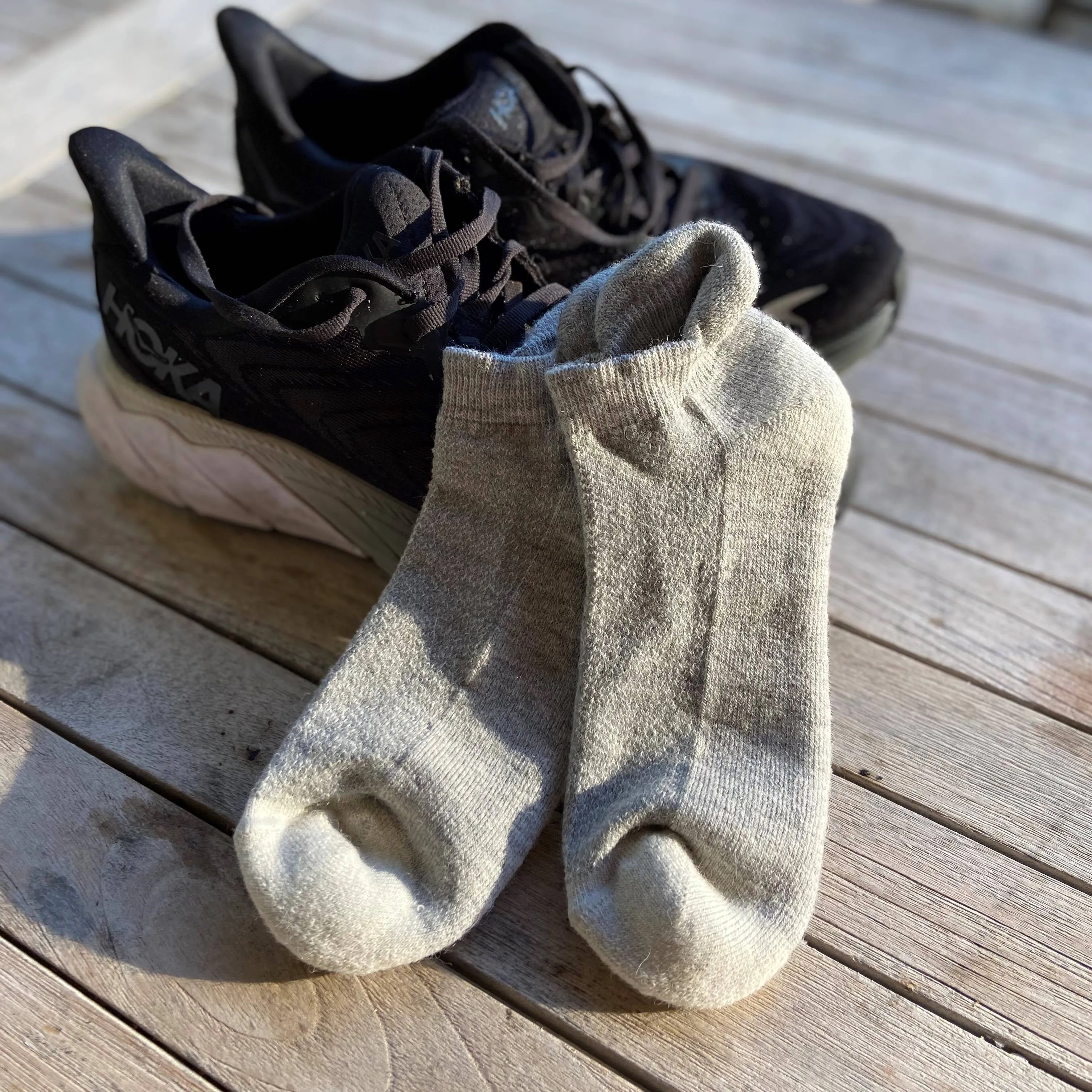 Alpaca Running Socks