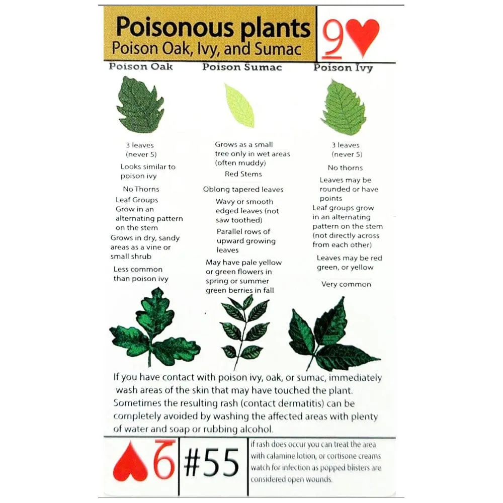 Grim Workshop Tip Card:#55 Tip Card- Poisonous Plant Identification