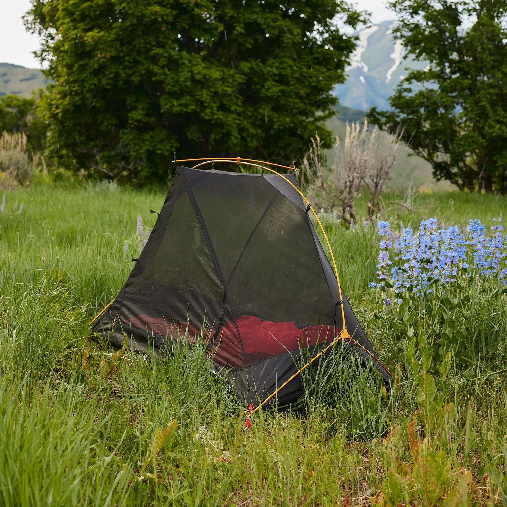 Mountain Ultra Tents